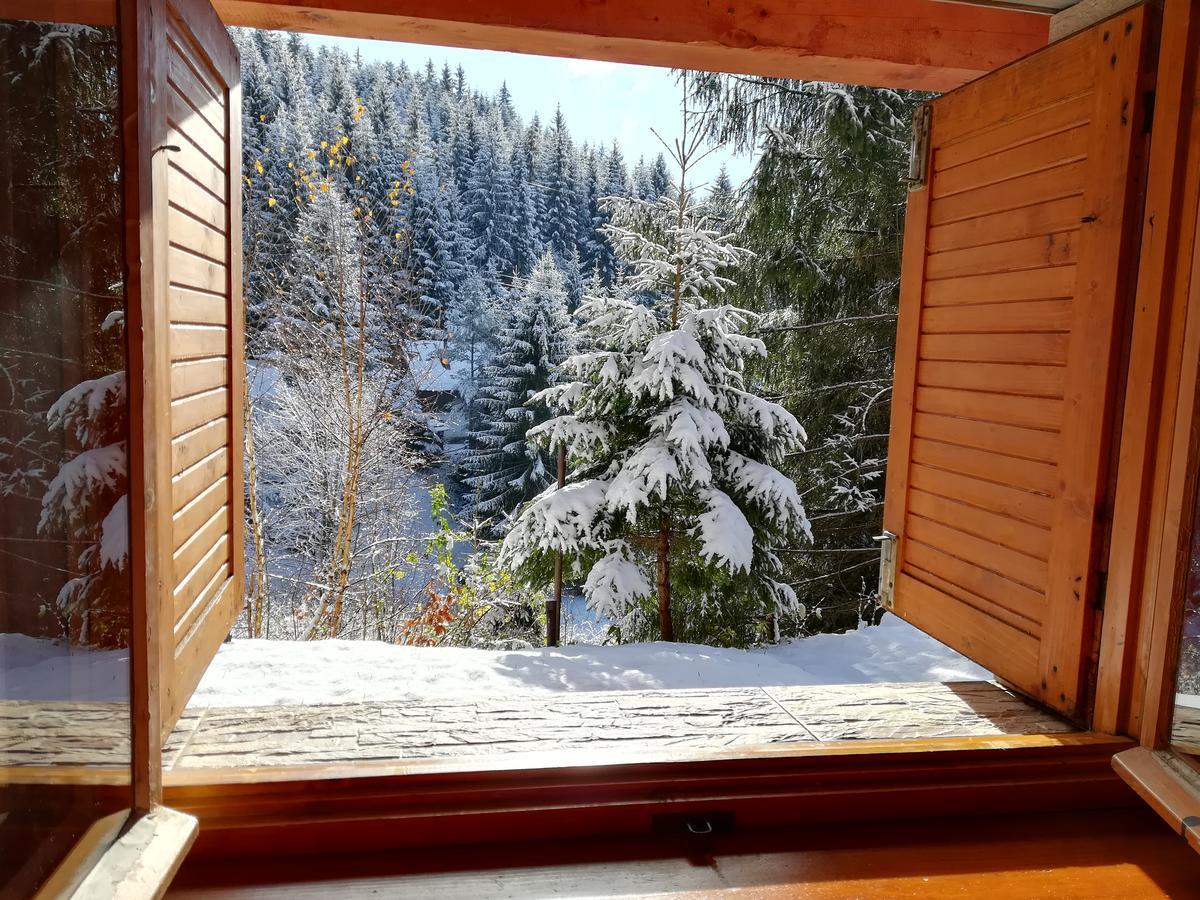 Chata Safran Donovaly Exteriör bild