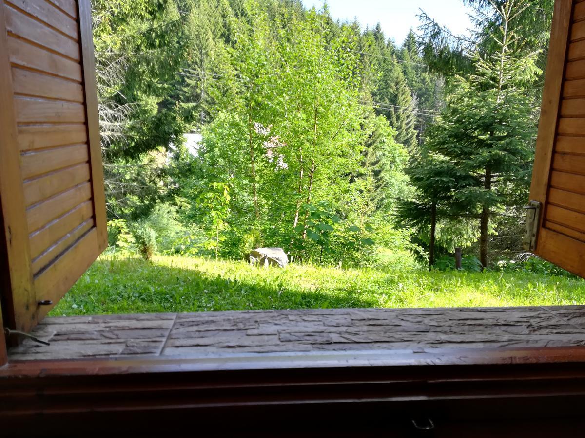 Chata Safran Donovaly Exteriör bild